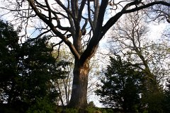 photo 0056